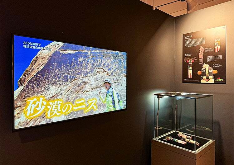 （過去の展示の様子　※写真は愛知会場）