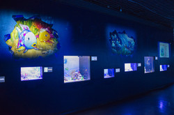 「アクアパーク品川が人気絵本とコラボ！　ネイキッドが映像演出！」の写真