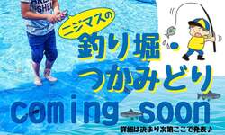 「大阪堺市「ハーベストの丘」で夏祭り開催　ミニ花火ショー＆盆踊り、水遊びや釣りも！」の写真