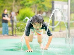 「【大阪】9月13日～15日の三連休おでかけにもおすすめ！人気スポットランキング」の写真