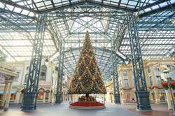 「東京ディズニーリゾートで45日間のクリスマスイベント開催！　10年ぶり新パレードも！」の写真