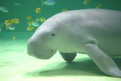 「【三重】9月13日～15日の三連休おでかけにもおすすめ！人気スポットランキング」の写真