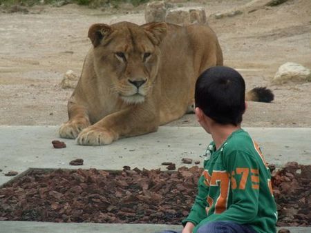 動物たちの敬老の日｜「広島市安佐動物公園」の様子