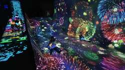 「体験型アート「チームラボ バイオヴォルテックス 京都」が、2025年10月オープン決定！」の写真
