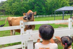 「【山梨】9月13日～15日の三連休おでかけにもおすすめ！人気スポットランキング」の写真