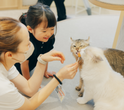 「【長野】9月13日～15日の三連休おでかけにもおすすめ！人気スポットランキング」の写真