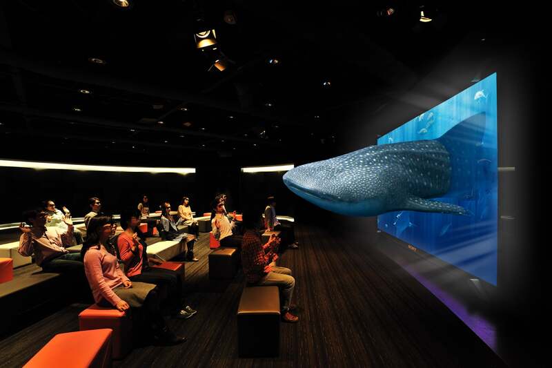 3D Okinawa Churaumi Aquarium