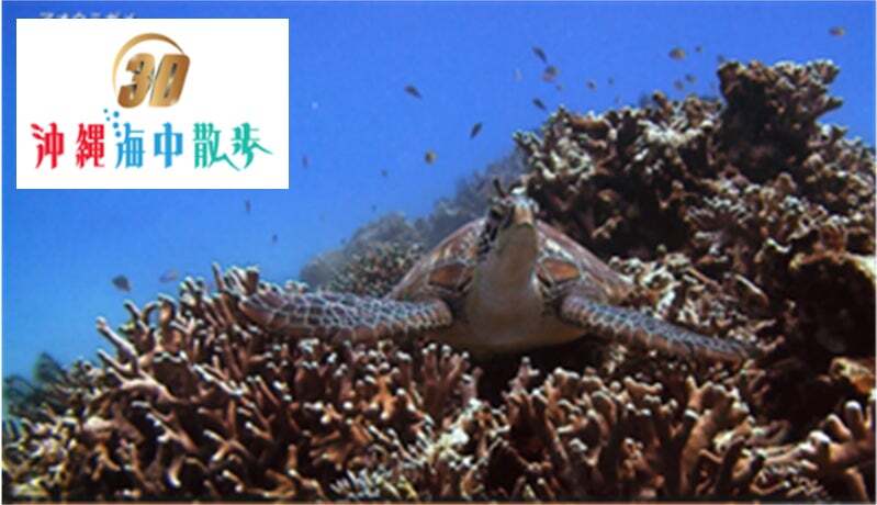 3D 沖縄海中散歩