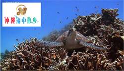 3D 沖縄海中散歩