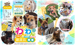 第16回わんわん譲渡会