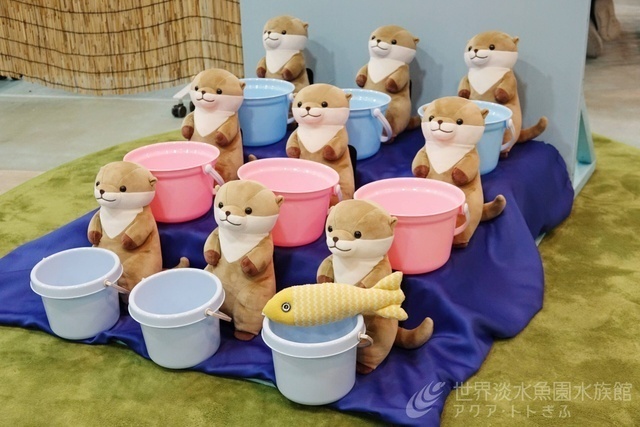 秋のトト縁日｜(ｃ)アクア・トト ぎ｜