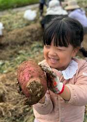 「茨城県つくば市でさつまいも掘りとモンブラン作り体験！親子で楽しむ秋の味覚イベント」の写真