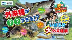「茨城県大洗町のアクアワールドで外来種250匹以上の大展示！　釣りも楽しめる特別企画」の写真