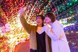 「伊豆ぐらんぱる公園で「グランイルミ」スタート　今シーズンは「龍の大冒険」がテーマ」の写真