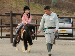 毎日楽しめる乗馬体験