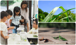 自然に親しむイベントデー「バッタの日」
