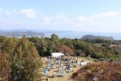 「岡山県で「牛窓オリーブ収穫祭」が開催！　無料の収穫体験＆搾りたてオイルの試飲も！」の写真