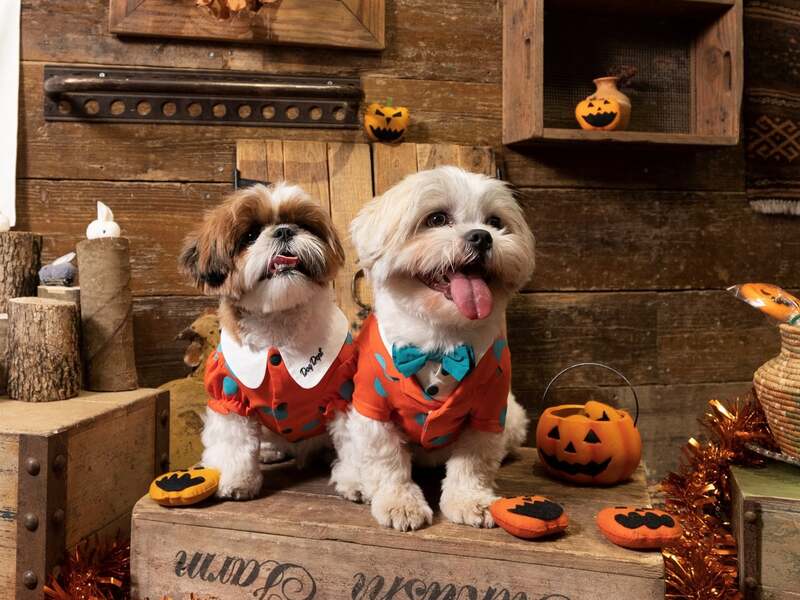 Dog Dept  「ドットペア」　5,984〜7,744円