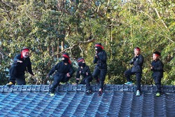 「【館山周辺】9月20日・21日の今週末のおでかけにもおすすめ！人気スポットランキング」の写真