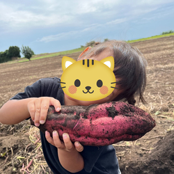 「【横須賀周辺】9月20日・21日の今週末おでかけにもおすすめ！人気スポットランキング」の写真