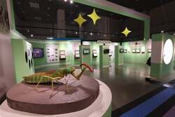 「名古屋市科学館で特別展「昆虫 MANIAC」開催　2日間限定ナイトミュージアムも必見！」の写真