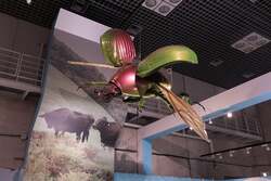 「名古屋市科学館で特別展「昆虫 MANIAC」開催　2日間限定ナイトミュージアムも必見！」の写真