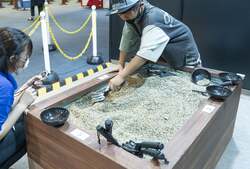 「神戸海洋博物館で絶滅生物の特別展が開催！　ティラノサウルスの頭骨や化石発掘体験も」の写真