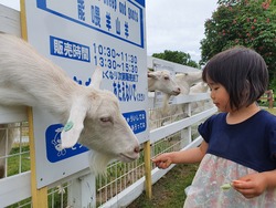 「【札幌周辺】9月20日・21日の今週末のおでかけにもおすすめ！人気スポットランキング」の写真