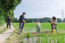 「那須高原の宿泊施設で食育プログラム！　親子で稲刈り＆野菜収穫できる秋の田んぼ教室」の写真