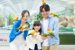 「【磐田周辺】9月20日・21日の今週末のおでかけにもおすすめ！人気スポットランキング」の写真