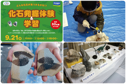 化石発掘体験＆学習