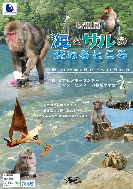 海とサルの交わるところ｜（C）公益財団法人日本モンキーセンター