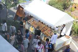 「食と農業を親子で学ぼう！　北海道ボールパークFビレッジで4日間の体験イベント開催」の写真