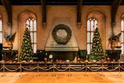 「ハリー・ポッターの魔法世界でクリスマス体験！　スタジオツアー東京で特別企画が開催」の写真