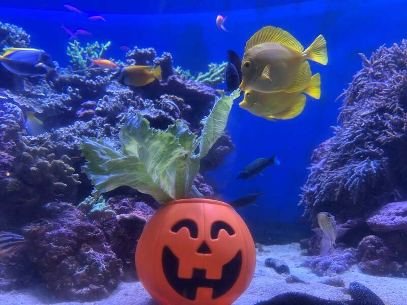 ※写真はイメージ