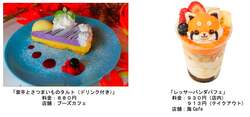 「「横浜・八景島シーパラダイス」で秋イベント開催　海の生きものたちとハロウィン満載」の写真