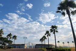 「大阪貝塚市の二色の浜オートキャンプ場がリニューアル　愛犬OK！絶景BBQで家族時間」の写真