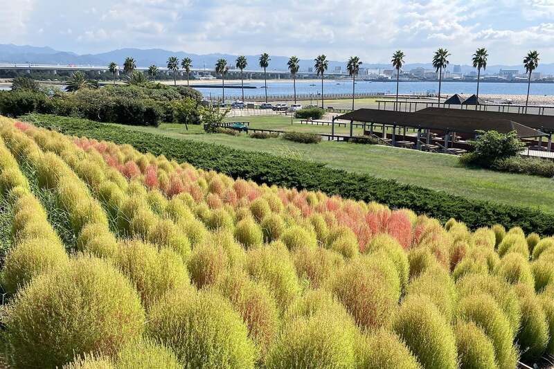 二色の浜公園