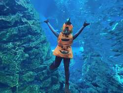 「新潟県の「上越市立水族博物館 うみがたり」でハロウィンイベント開催！」の写真