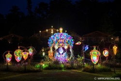 童話村の森ライトアップ2025／（C）MIRRORBOWLERS