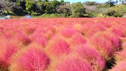 「【木更津周辺】9月27日・28日の今週末のおでかけにもおすすめ！人気施設ランキング」の写真