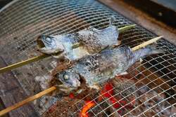 「ウッドデザインパーク岡崎でニジマス釣り開始　初心者OK釣った魚はその場で塩焼きに」の写真