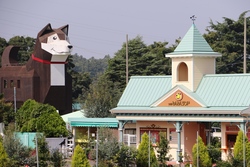 「犬とふれあえる関東の動物園＆テーマパーク5選！」の写真