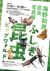 海野和男 昆虫写真展 ふしぎ昆虫ビッグワールド