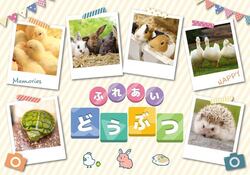 ふれあい動物広場（画像はイメージです）