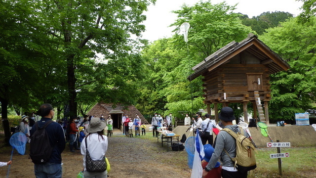 昆虫ハンティング in 家原遺跡公園