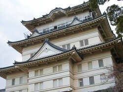 「【2025】関東の「きのこ狩り・収穫体験」が楽しめるおすすめスポット7選」の写真