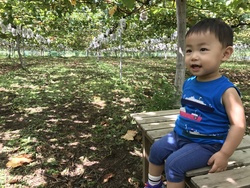 「【川越周辺】9月27日・28日の今週末のおでかけにもおすすめ！人気スポットランキング」の写真