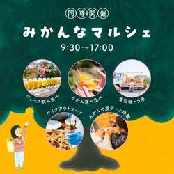 「みかん狩り×グランピングが融合！収穫体験型イベント「みかんピング」が和歌山で開催」の写真