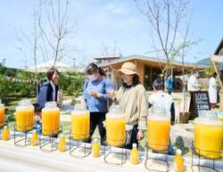 10種類以上のジュース飲み比べ